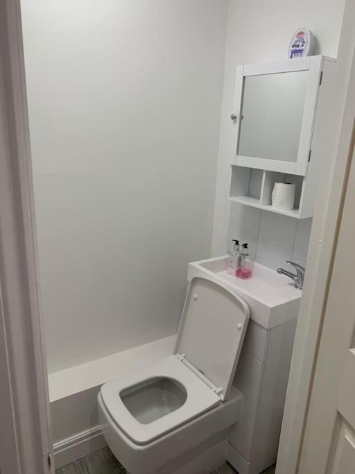 Beautiful 5Bedroom Hse-Contractor/Family/Corporate Dartford Eksteriør billede
